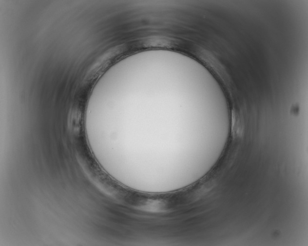 X0000116290157200912211848