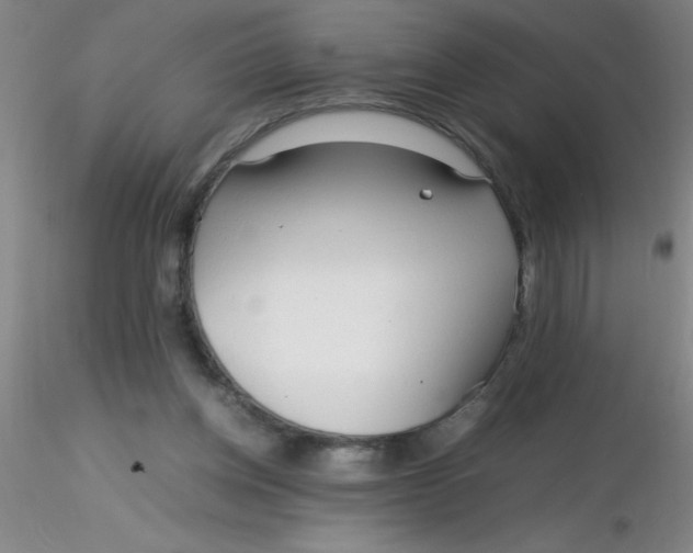 X0000116290158200912211848