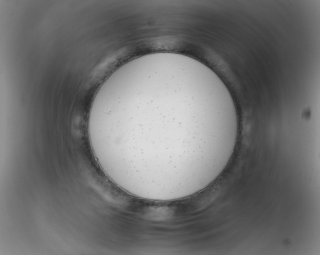 X0000116290161200912211848