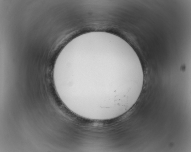 X0000116290162200912211848