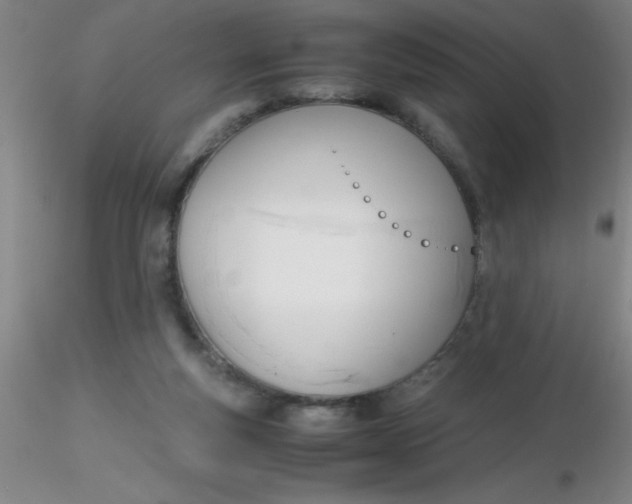 X0000116290163200912211848