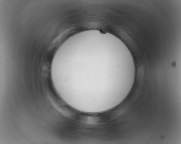 X0000116290165200912211848