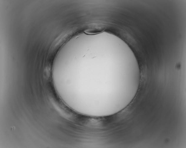 X0000116290166200912211848