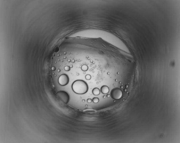 X0000116290167200912211848