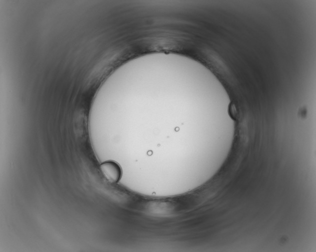 X0000116290169200912211848