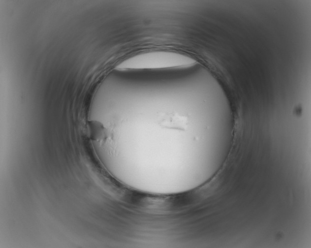 X0000116290170200912211848