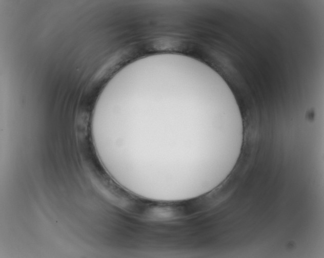 X0000116290171200912211848