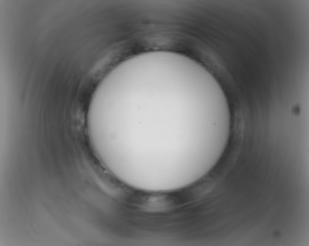 X0000116290173200912211848