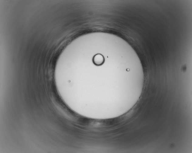 X0000116290174200912211848