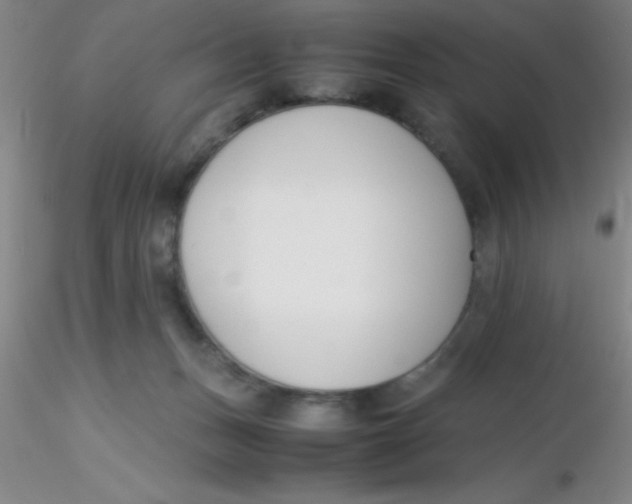 X0000116290175200912211848