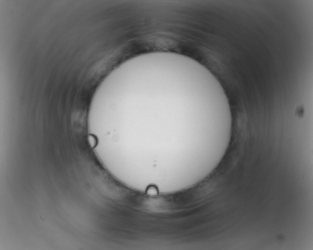 X0000116290177200912211848