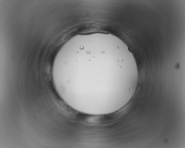 X0000116290178200912211848