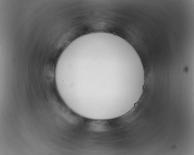 X0000116290179200912211848