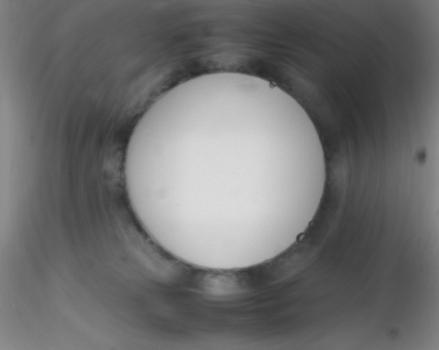 X0000116290181200912211848