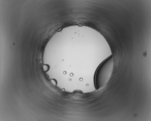 X0000116290182200912211848