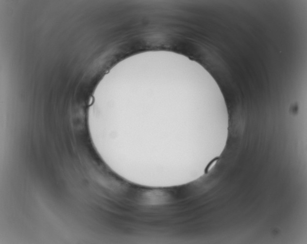 X0000116290183200912211848