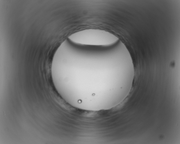 X0000116290186200912211848