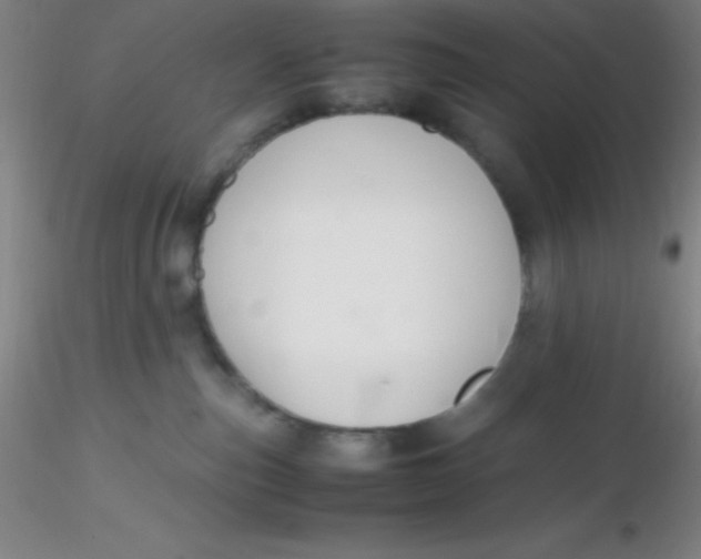 X0000116290187200912211848