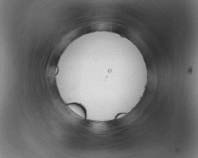 X0000116290189200912211848