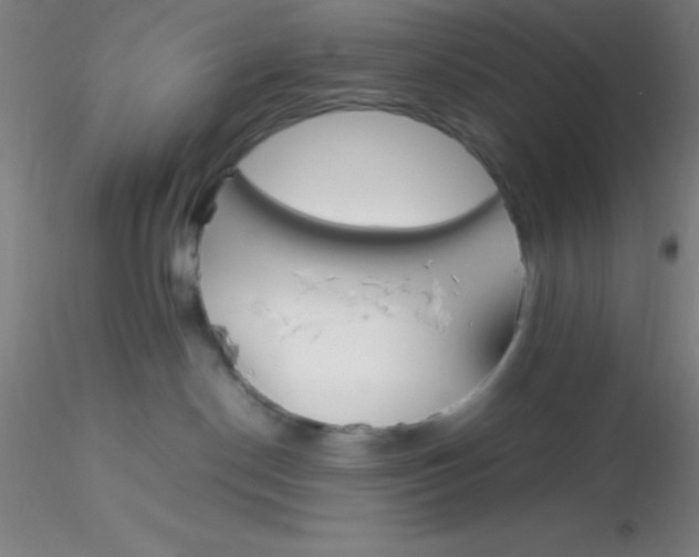 X0000116290190200912211848