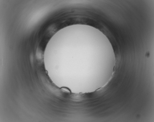 X0000116290191200912211848