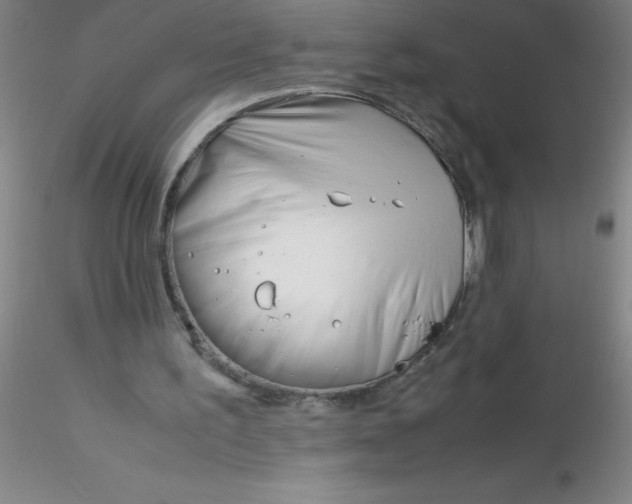 X0000116290195200912211847