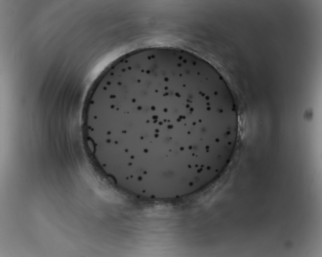 X0000116290196200912211847