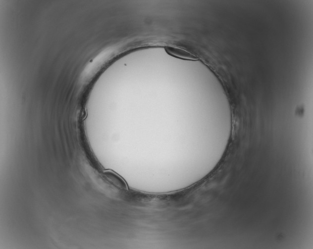 X0000116290197200912211847