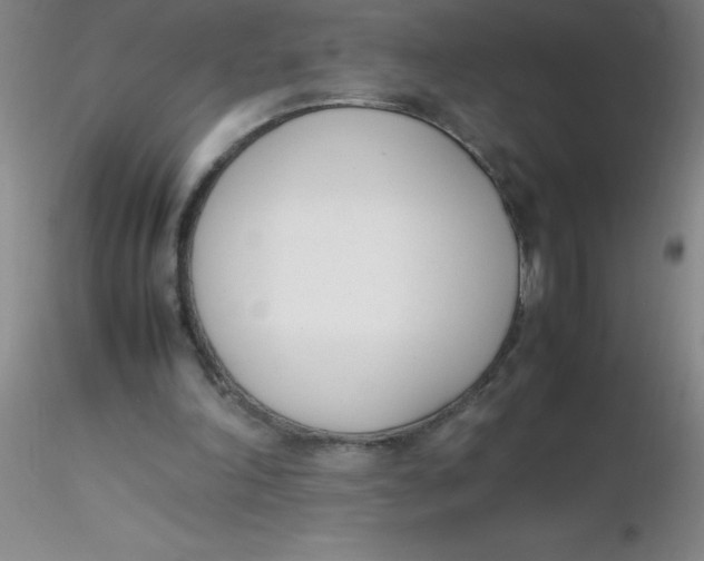 X0000116290198200912211847