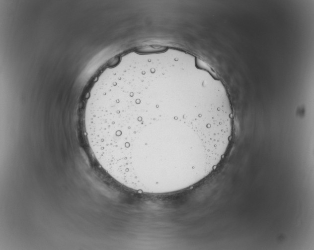 X0000116290199200912211847