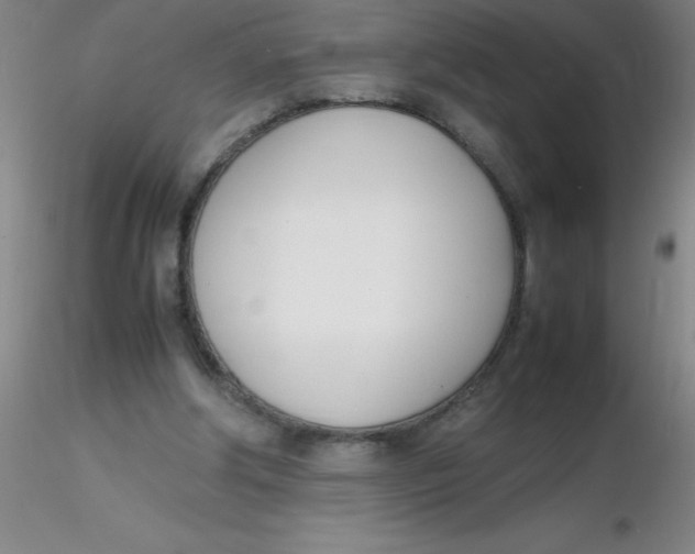 X0000116290202200912211847