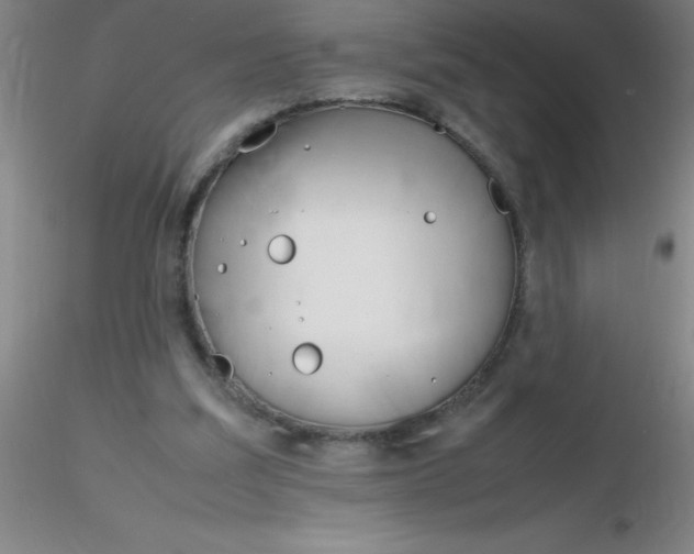 X0000116290203200912211847