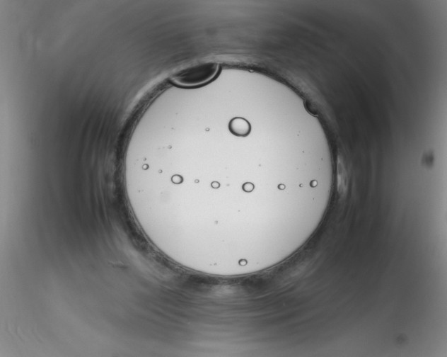 X0000116290204200912211847