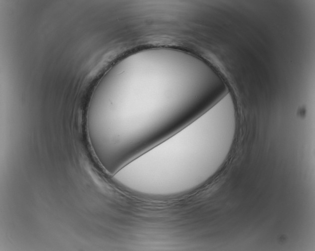 X0000116290205200912211847