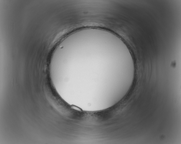 X0000116290207200912211847