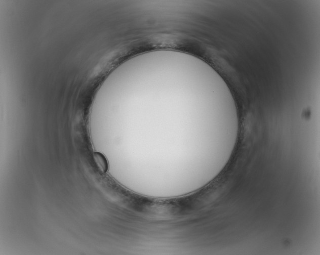 X0000116290209200912211847