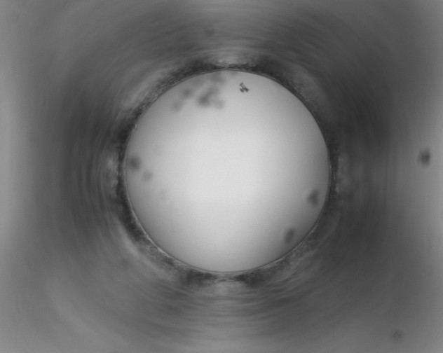 X0000116290210200912211847