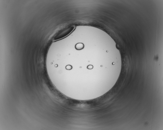 X0000116290212200912211847