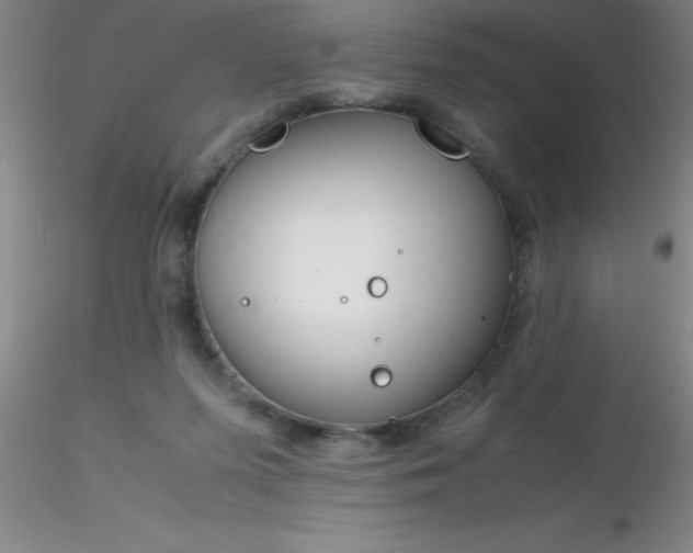 X0000116290215200912211847