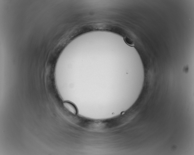 X0000116290217200912211847