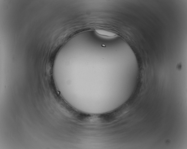 X0000116290219200912211847