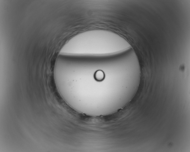 X0000116290223200912211847