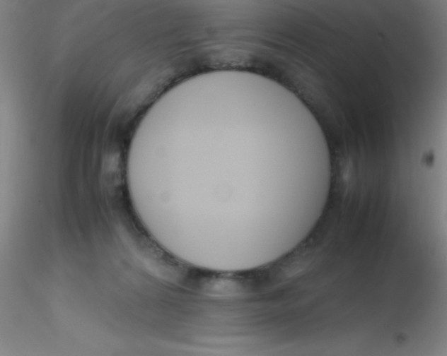 X0000116290224200912211847