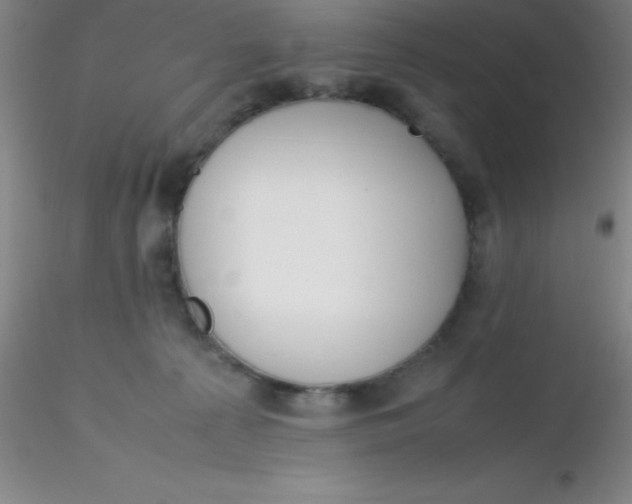 X0000116290225200912211847