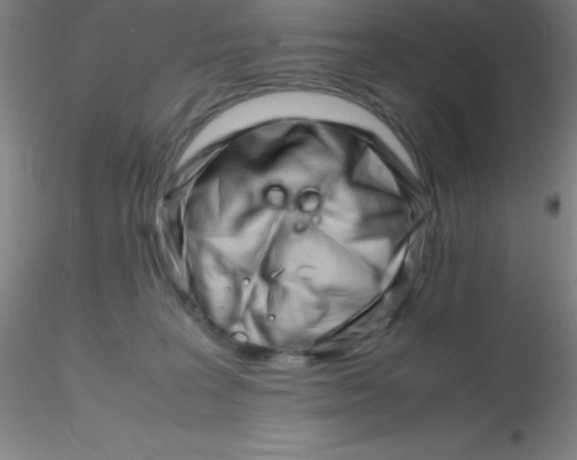 X0000116290227200912211847