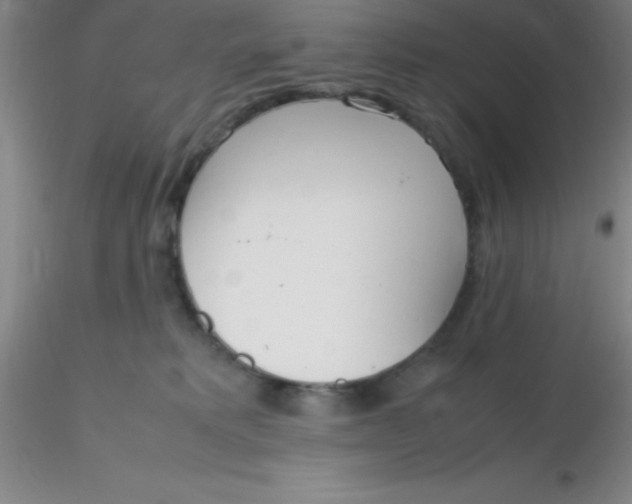 X0000116290229200912211847