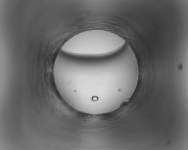 X0000116290235200912211847