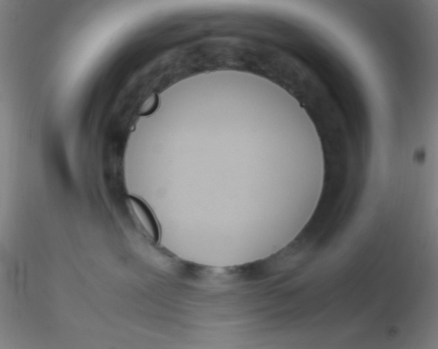 X0000116290239200912211847