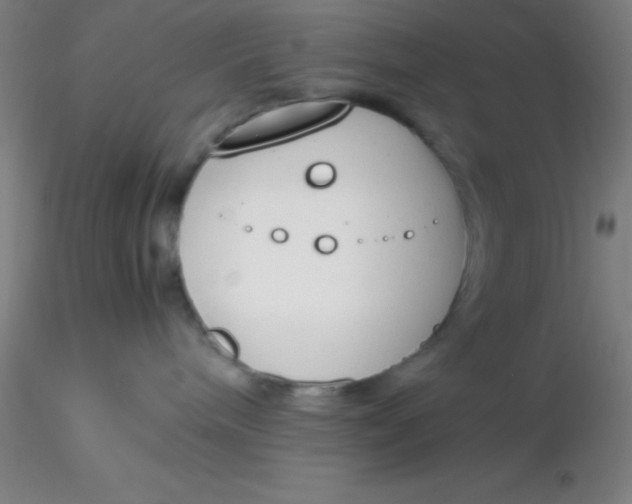 X0000116290240200912211847