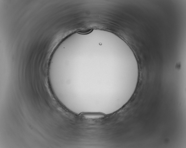 X0000116290241200912211846